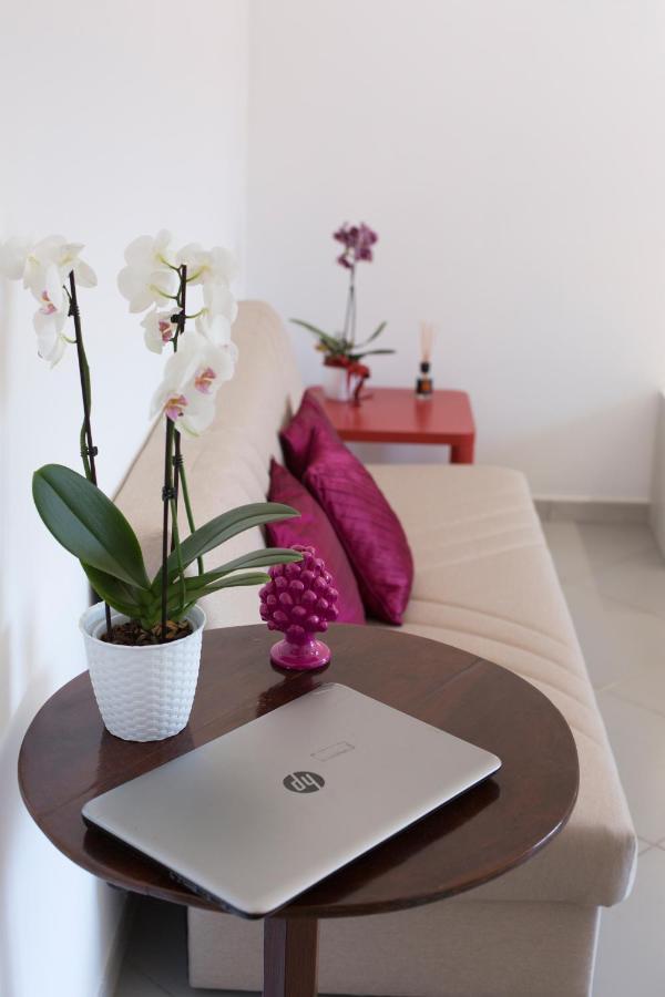 Sofia Flora Bed & Breakfast Piano di Sorrento Exterior foto